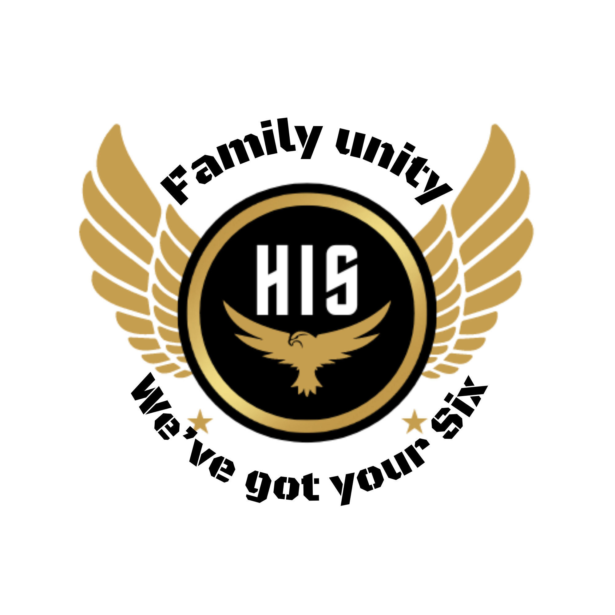 Agents of HIS Series